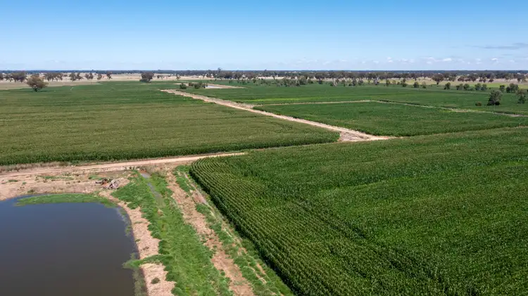 Fourth view of Homely rural property listing, 270 Collie Road, Harston VIC 3616