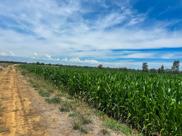 Sixth view of Homely rural property listing, 270 Collie Road, Harston VIC 3616