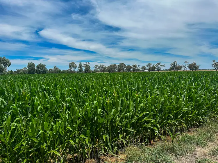 Seventh view of Homely rural property listing, 270 Collie Road, Harston VIC 3616