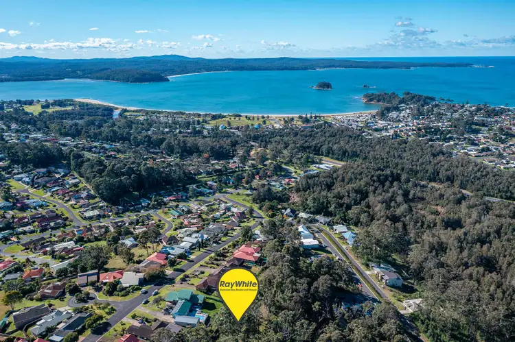 Main view of Homely land listing, 31a Yarrabee Drive, Catalina NSW 2536