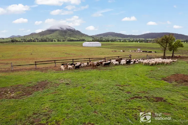 533 Burrundulla Road, Mudgee NSW 2850
