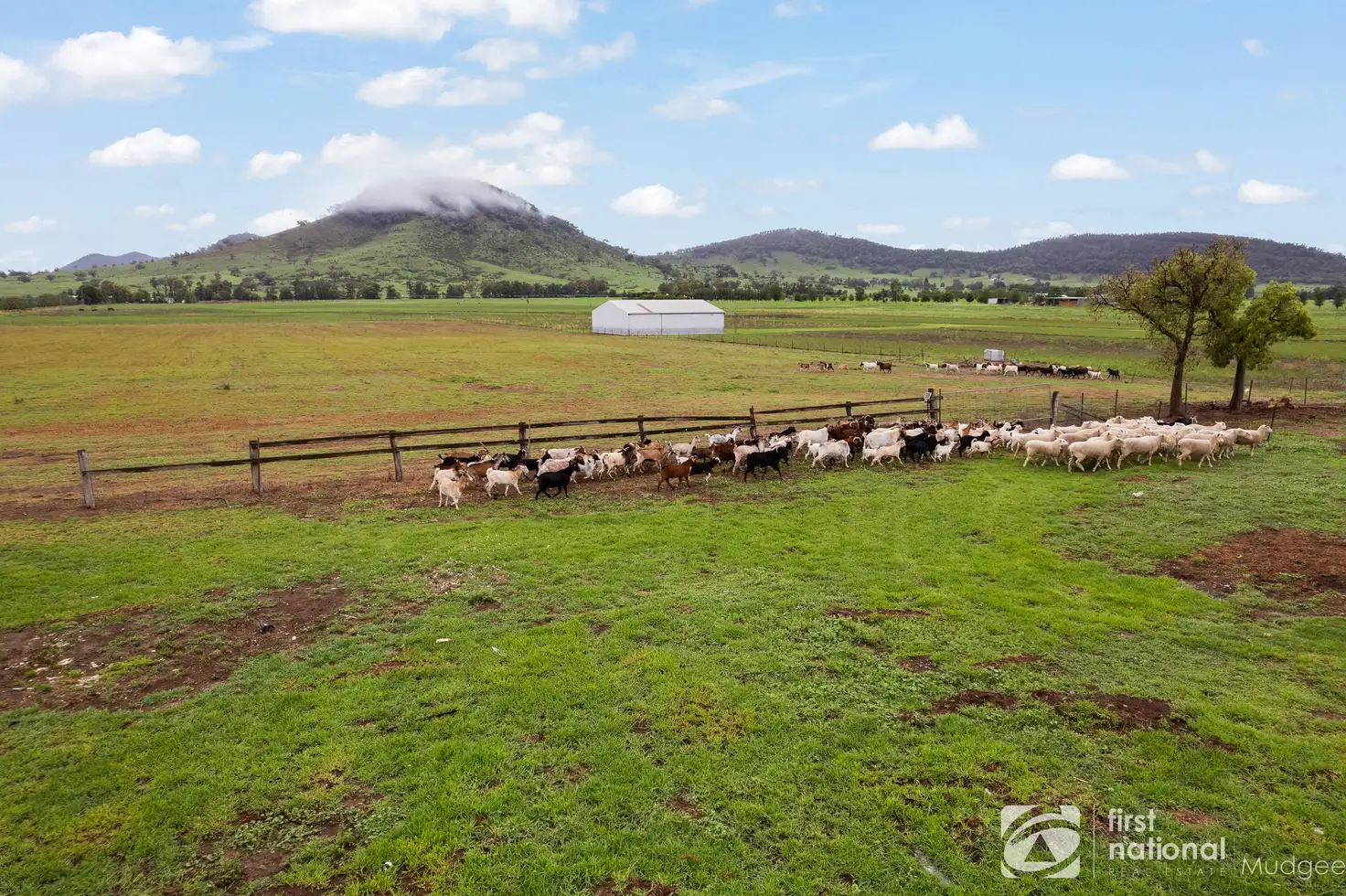 Main view of Homely rural property listing, 533 Burrundulla Road, Mudgee NSW 2850
