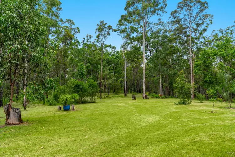 Third view of Homely rural property listing, 1409 Plains Station Road, Tabulam NSW 2469