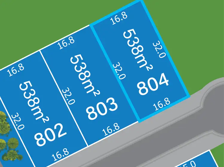 Lot 804 Coolamon Street, Mount Low QLD 4818