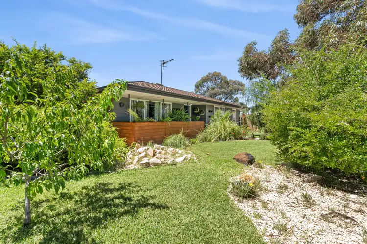 6 Hardwick Street, Barmera SA 5345