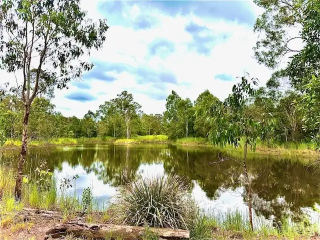 Second view of Homely land listing, 445 Tandur Traveston Road, Traveston QLD 4570