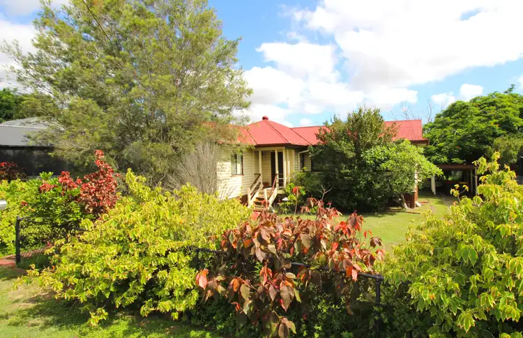 17 Hodgkinson Street