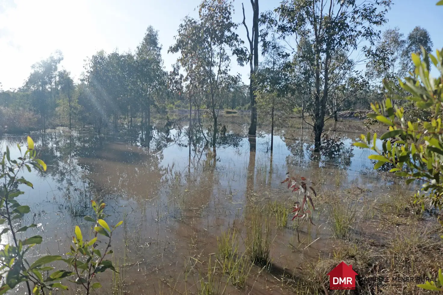 Main view of Homely rural property listing, 446 Stanmore Road, Coonambula QLD 4626