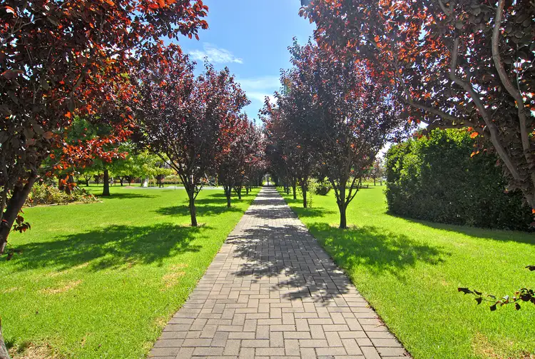 Third view of Homely unit listing, 6/1 Raymond Walk, Toorak Gardens SA 5065