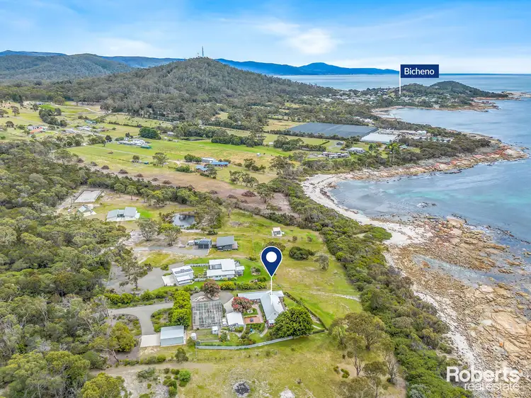 Main view of Homely house listing, 119 Harveys Farm Road, Bicheno TAS 7215