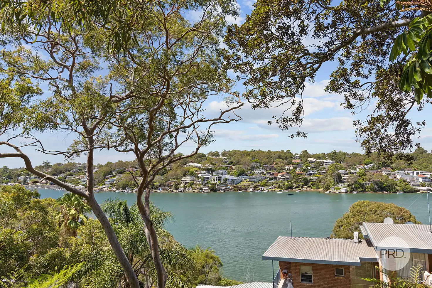 Main view of Homely house listing, 46A Algernon Street, Oatley NSW 2223