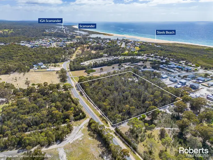 Main view of Homely land listing, 23370 Tasman Highway, Scamander TAS 7215