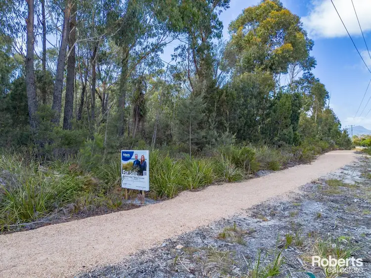 Third view of Homely land listing, 23370 Tasman Highway, Scamander TAS 7215