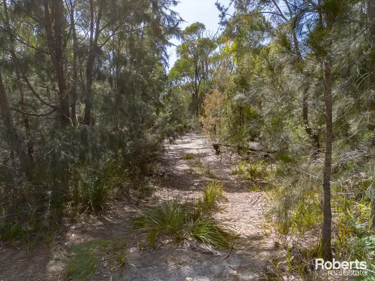 Fourth view of Homely land listing, 23370 Tasman Highway, Scamander TAS 7215