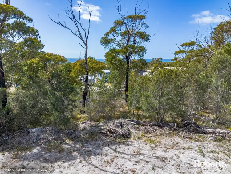 Fifth view of Homely land listing, 23370 Tasman Highway, Scamander TAS 7215