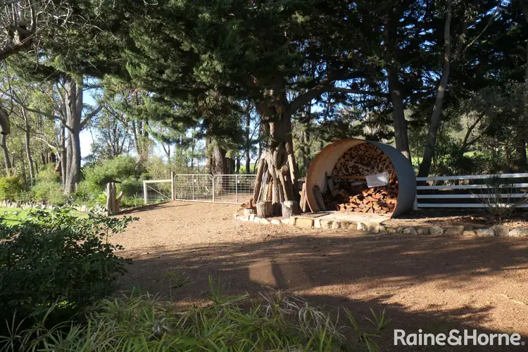 Seventh view of Homely house listing, 202 Walter Road, Scotsdale WA 6333