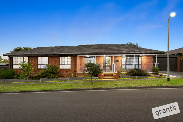 19 Barondi Avenue, Narre Warren VIC 3805