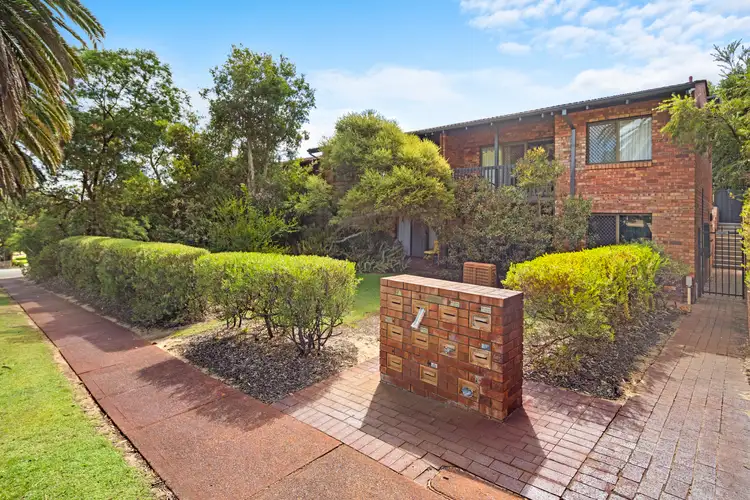 Main view of Homely apartment listing, 1/13 Storthes Street, Mount Lawley WA 6050