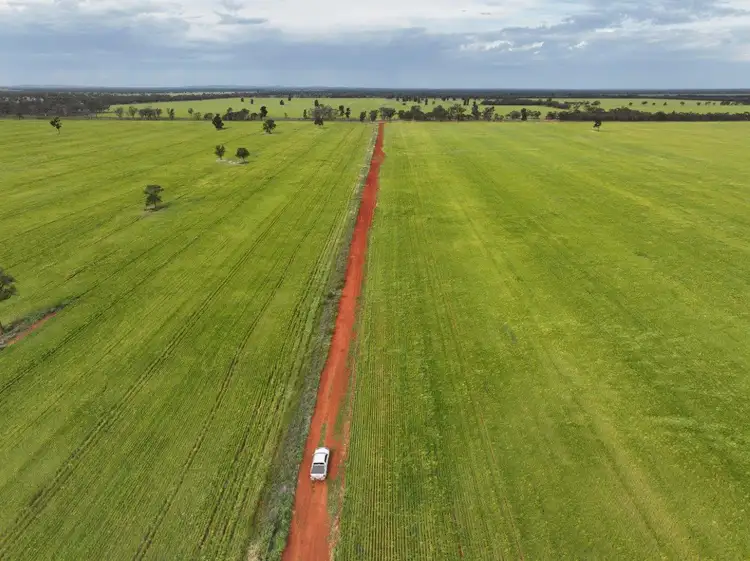 Sixth view of Homely rural property listing, 'Beauford Park' 544 Thomas Lane, Lake Cargelligo NSW 2672