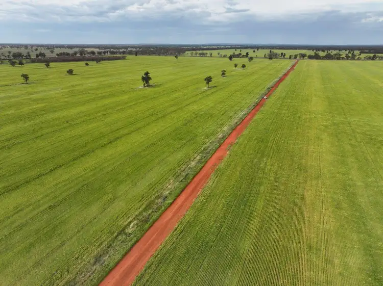 Seventh view of Homely rural property listing, 'Beauford Park' 544 Thomas Lane, Lake Cargelligo NSW 2672