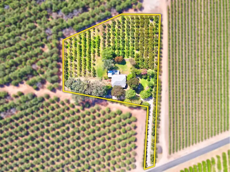 Second view of Homely house listing, 77 Chowilla Street, Renmark SA 5341