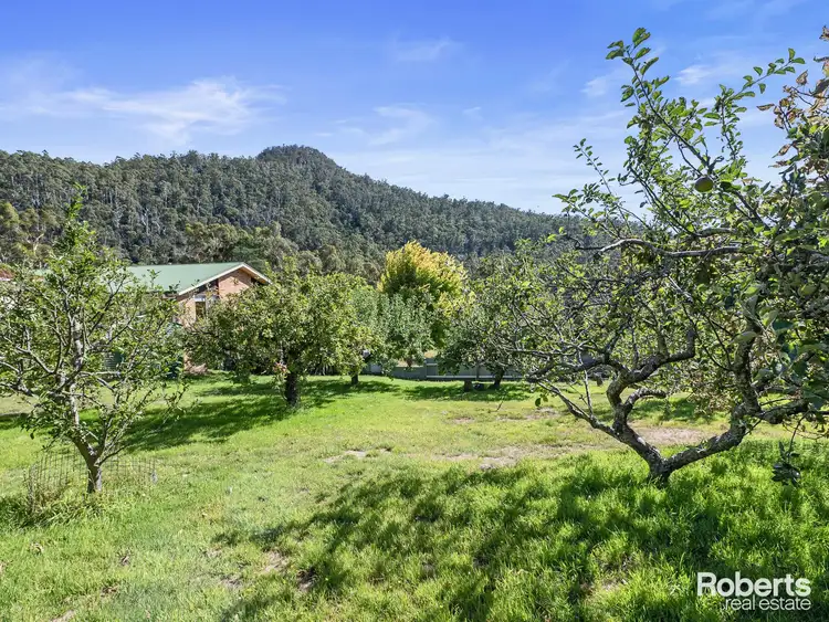 Fourth view of Homely rural property listing, 1825 Liffey Road, Liffey TAS 7301