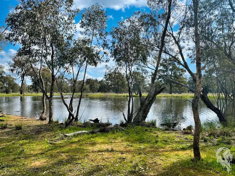 483 Gwabegar Road, Cuttabri NSW 2388