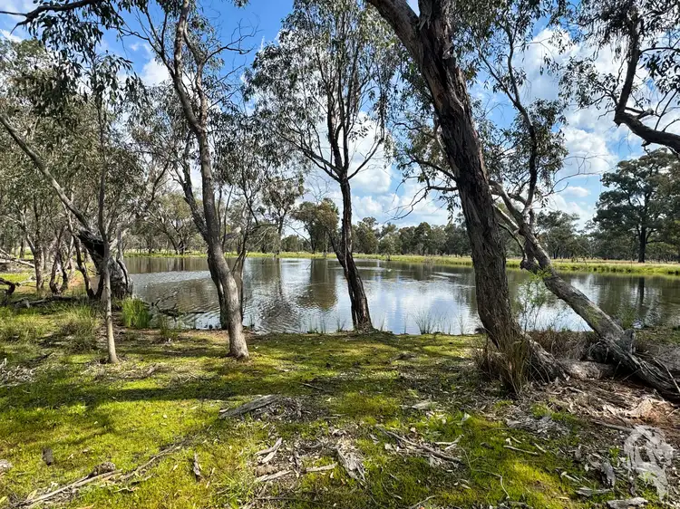 Second view of Homely rural property listing, 483 Gwabegar Road, Cuttabri NSW 2388