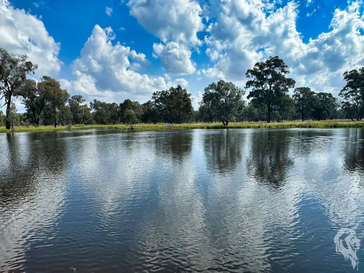 Third view of Homely rural property listing, 483 Gwabegar Road, Cuttabri NSW 2388
