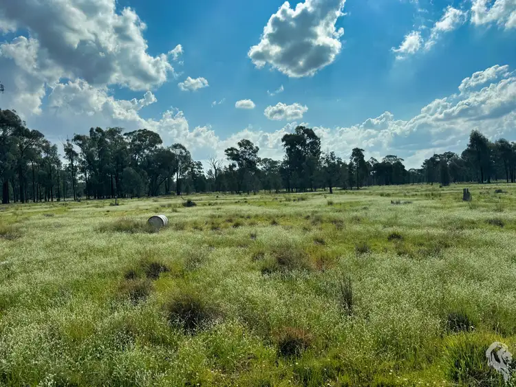 Fifth view of Homely rural property listing, 483 Gwabegar Road, Cuttabri NSW 2388