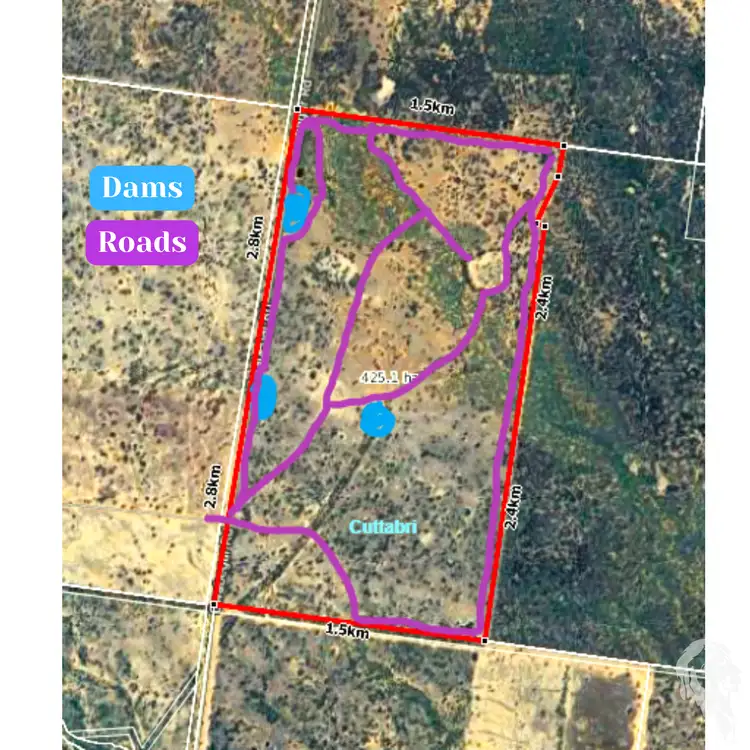 Sixth view of Homely rural property listing, 483 Gwabegar Road, Cuttabri NSW 2388
