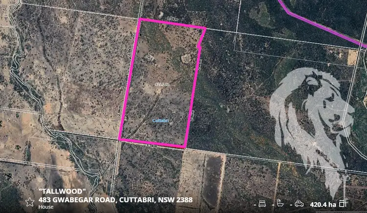 Seventh view of Homely rural property listing, 483 Gwabegar Road, Cuttabri NSW 2388