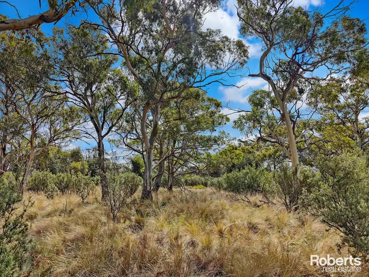 Fourth view of Homely land listing, 249 Dolphin Sands Road, Dolphin Sands TAS 7190