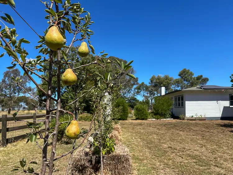 Sixth view of Homely rural property listing, 250 Woorndoo-darlington Road, Woorndoo VIC 3272