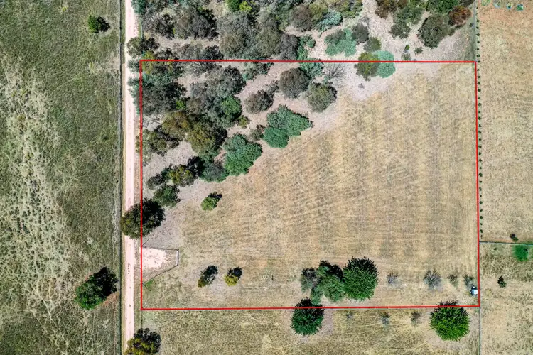 Sixth view of Homely land listing, 90 Starrlea Road, Molong NSW 2866