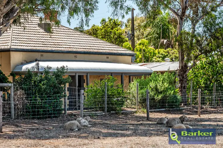 142 Pearson Road, Hillier SA 5116