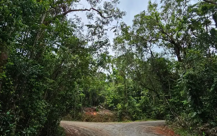 Main view of Homely land listing, Lot 232 White Beech Road, Cow Bay, Daintree QLD 4873