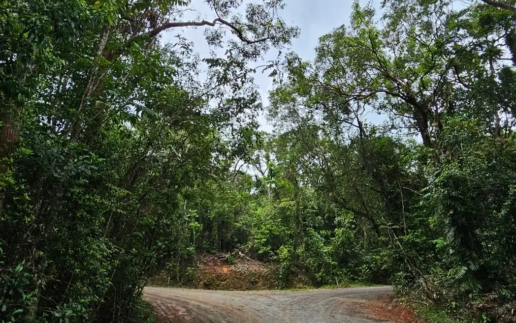 Main view of Homely land listing, Lot 232 White Beech Road, Cow Bay, Daintree QLD 4873