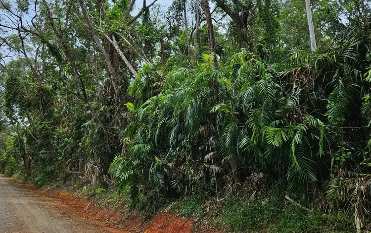 Second view of Homely land listing, Lot 232 White Beech Road, Cow Bay, Daintree QLD 4873