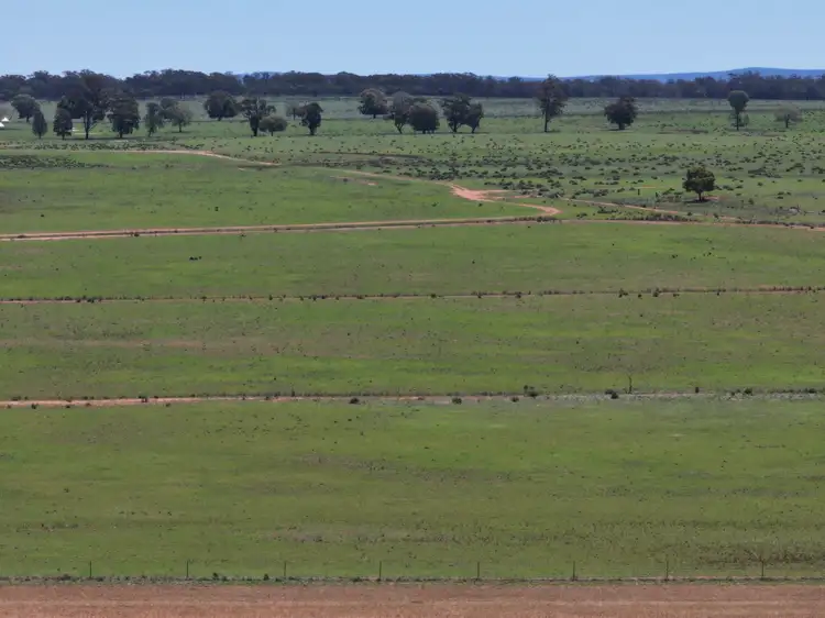 'Mentone' 1521 Bruie Plains Road, Trundle NSW 2875