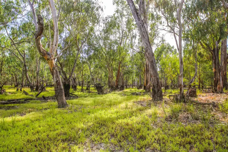 Fourth view of Homely rural property listing, Lot 19, 20, 23 & 24 - 650 Yarraman Road, Moama NSW 2731