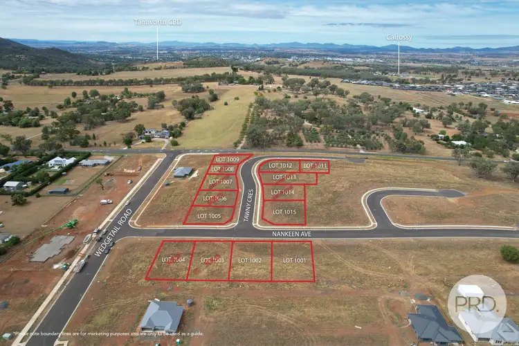 LOT 1005, 1 Tawny Crescent, Tamworth NSW 2340
