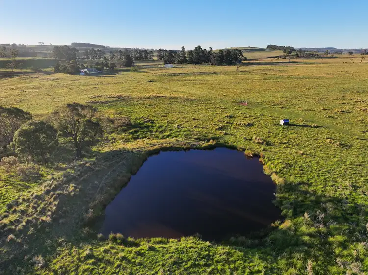 Fourth view of Homely rural property listing, Crooked Bridge 3624 Monaro Highway, Nimmitabel NSW 2631