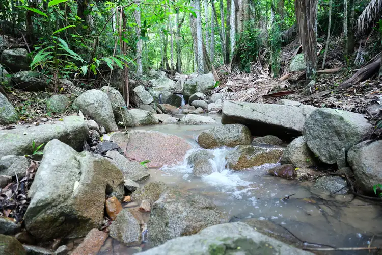 Main view of Homely rural property listing, Lot 177 Bellthorpe Road, Conondale QLD 4552