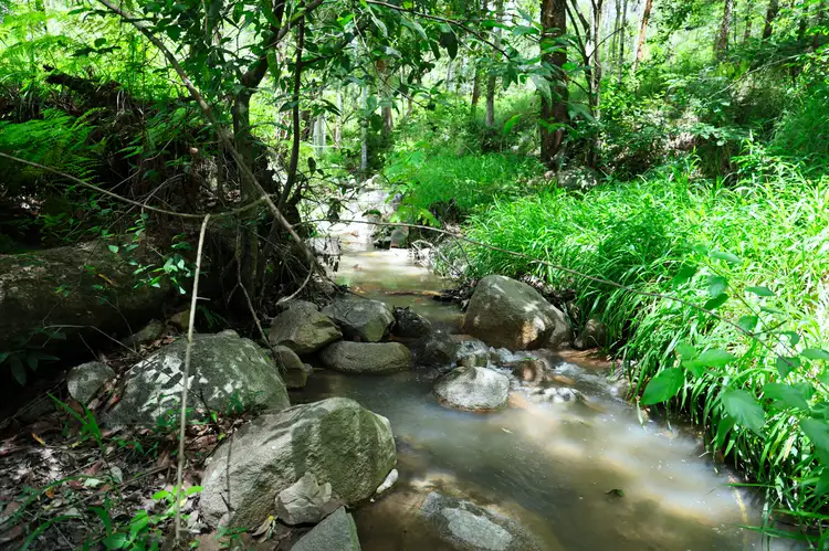 Second view of Homely rural property listing, Lot 177 Bellthorpe Road, Conondale QLD 4552