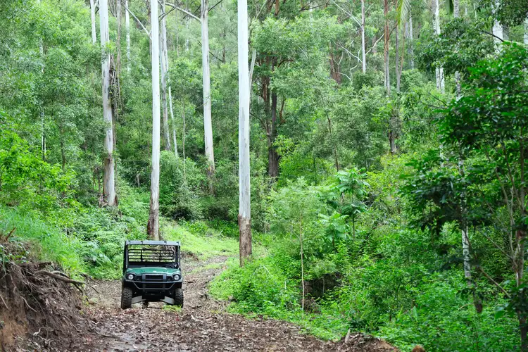 Seventh view of Homely rural property listing, Lot 177 Bellthorpe Road, Conondale QLD 4552