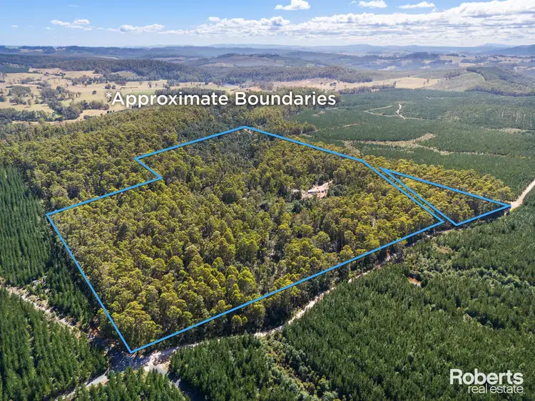 Fifth view of Homely rural property listing, 250 Lonely Hollow Road, Lower Beulah TAS 7306