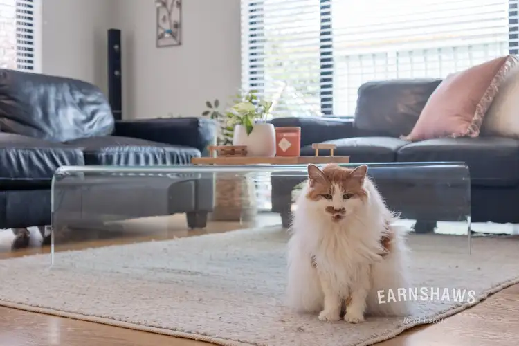 Fifth view of Homely house listing, 10 Drummond Gardens, Helena Valley WA 6056