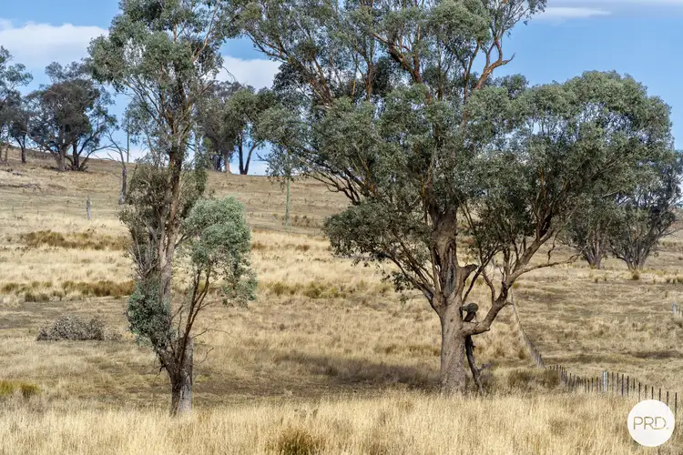 Seventh view of Homely land listing, 68 Rocky Hill Retreat, Wirlinga NSW 2640