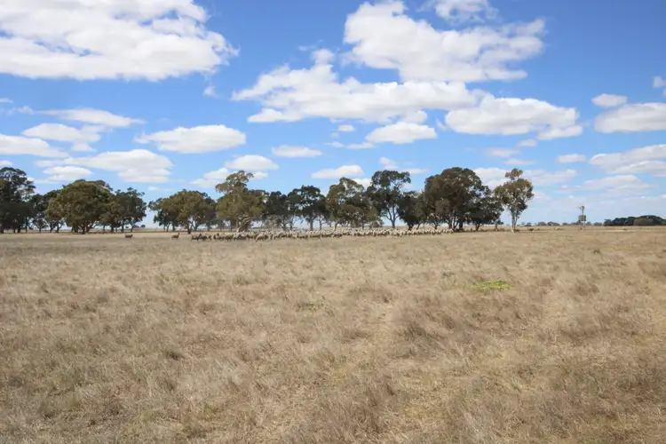 1234 Lucindale Road, Naracoorte SA 5271